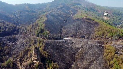İzmir, Aydın, Manisa, Uşak... Orman yangınlarından geriye kalan görüntüler