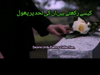 VID-20240511-WA0024
