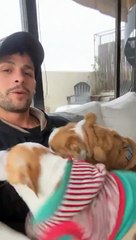 Joel al cuidado de los perros de su novia, Cata Gorostidi