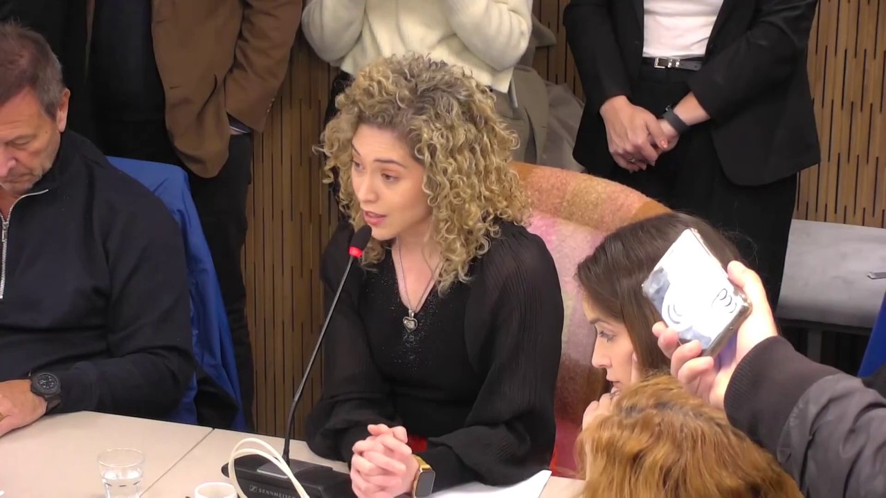 Arrieta se escudó en la "institucionalidad" de la Cámara de Diputados: "Debería dar explicaciones Martín Menem"
