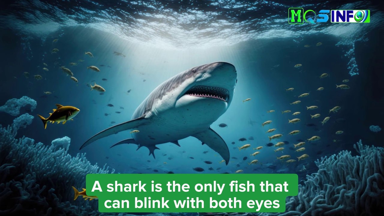 Facts That Most People Do Not Know - Did You Know - MQS info #facts #didyouknowfacts