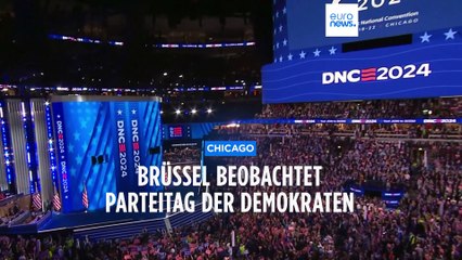 Brüssel blickt auf Chicago: Das sagen EU-Experten zum Parteitag der Demokraten mit Kamala Harris