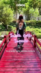 Jardines de México: qué hacer y cuánto cuesta visitarlos