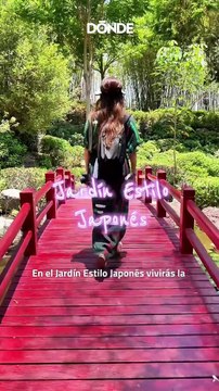 Jardines de México: qué hacer y cuánto cuesta visitarlos