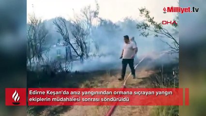 Edirne'de anızdan ormana sıçrayan yangın söndürüldü