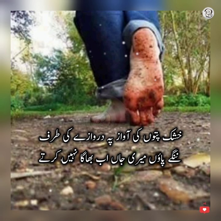 Urdu quotes mix | Aqwal e zareen new❤️ | islamic quotes | what's app status | quotes of the day | quotes Urdu Hindi