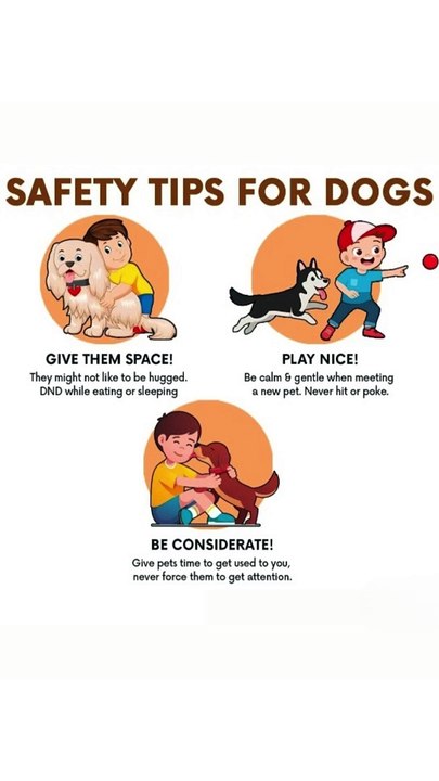 Top 6 Safety Tips Every Dog Owner Needs to Know  | Protect Your Pup with These Hacks! #DogSafety 