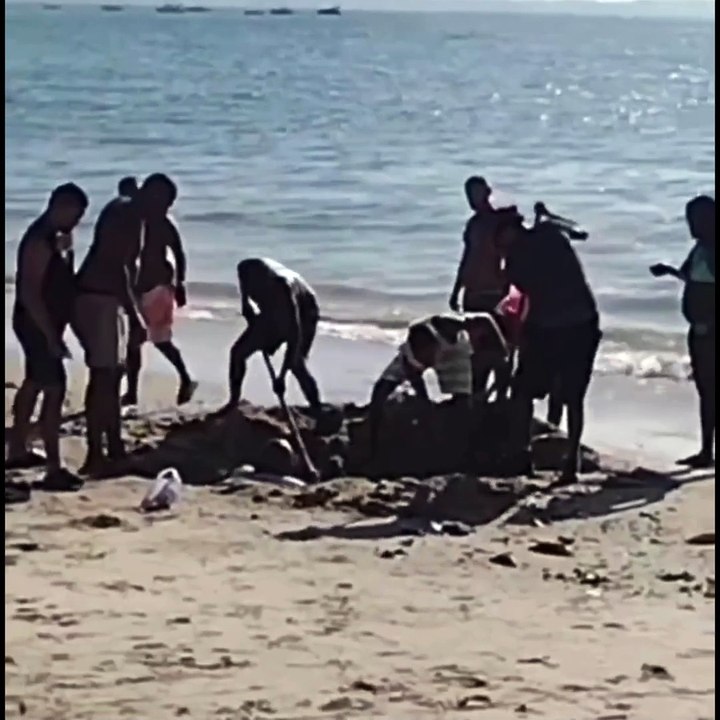 'Amostradinho'? Homem fica enterrado em areia de praia de Salvador ao tentar gravar vídeo