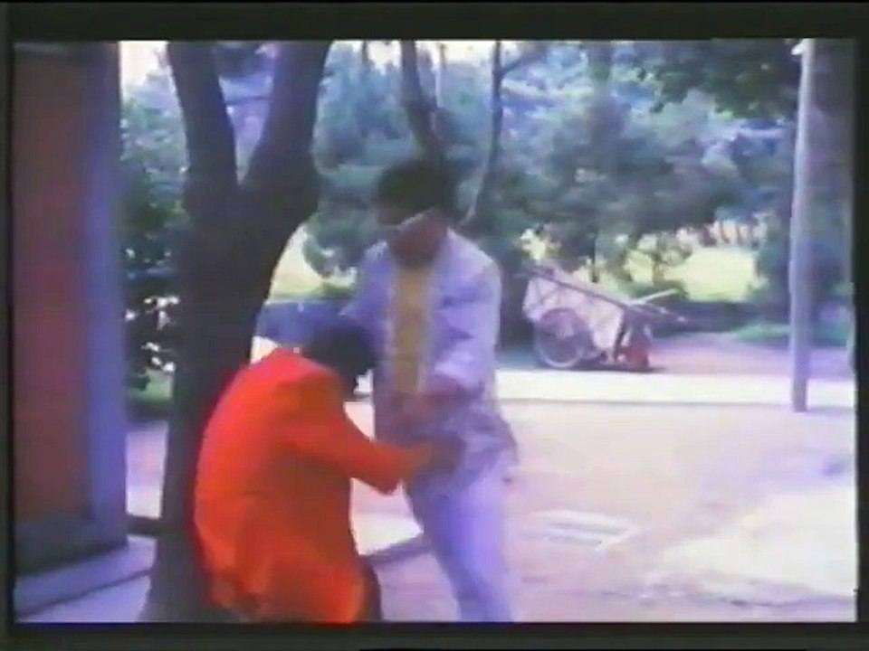 Los Increibles kung Fu Kids