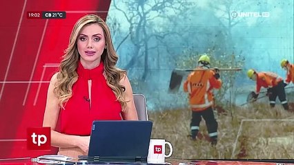 Rescatan animales en riesgo por los incendios forestales