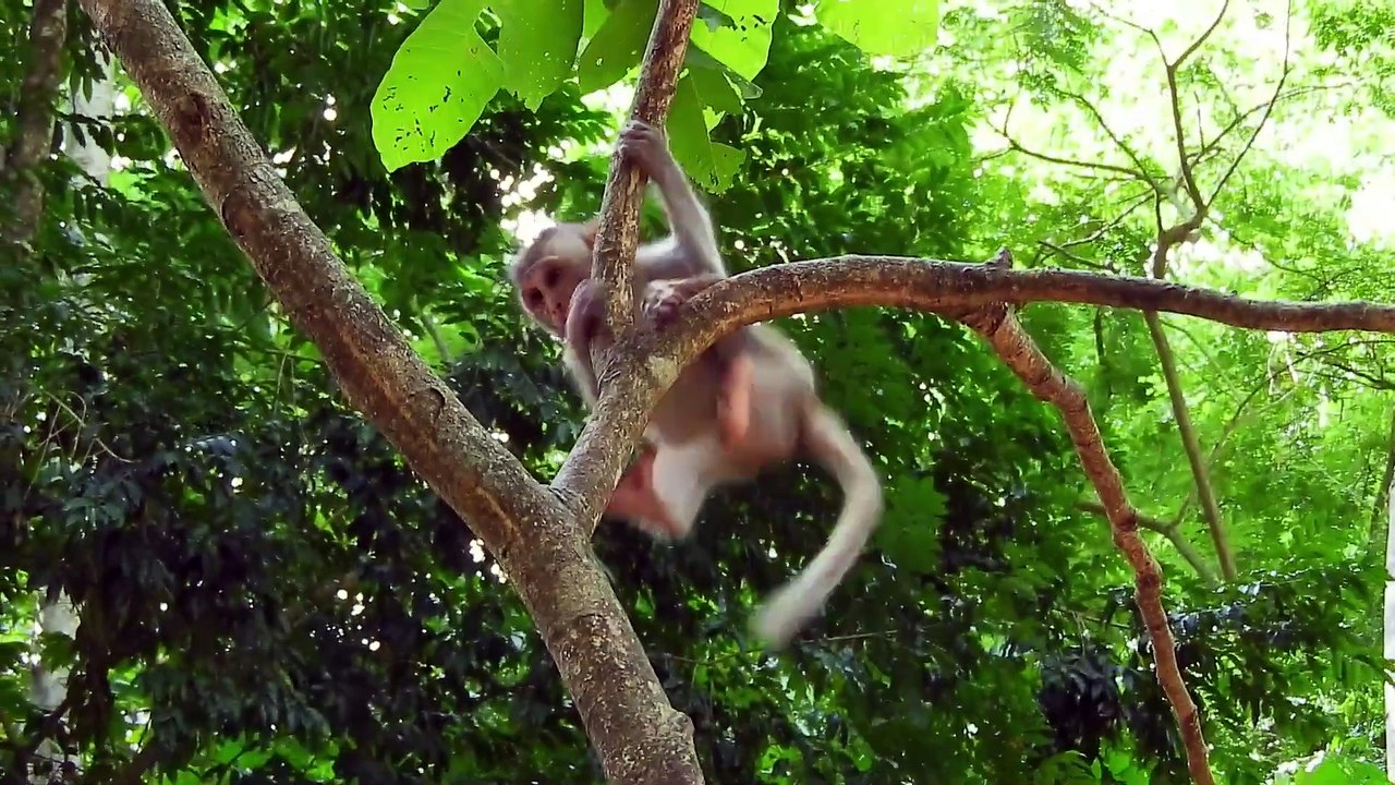 So Amazing Jasper In Arm Grandma Blacky