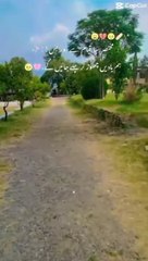 Welcome to my house blog