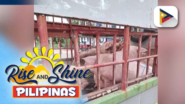 Pagbabantay sa mga border control at meat establishment, pinaigting pa para mapigilan ang pagkalat ng ASF