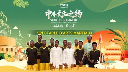 Spectacle d'arts martiaux