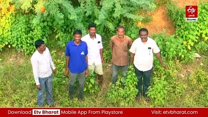 'పంటలు ఎండిపోతున్నాయి.' 'సాగు నీరివ్వండి సారూ'