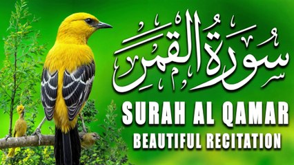 Very Beautiful VOICE | Surah Al-Qamar (The Moon سورج ) Full سورۃ القمر | Tilawat E Quran | Al Quran
