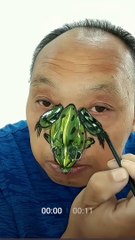 Look at this guy's face, he makes pictures of all kinds of animals