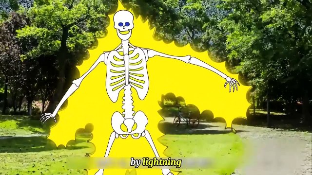 Lightning Storm Precautions | How to Safe Yourself from Lighting