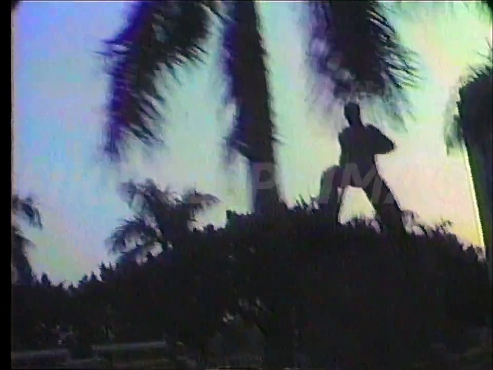 Traffico nella città di Canton.  1988 -  在廣州市的交通。 1988年