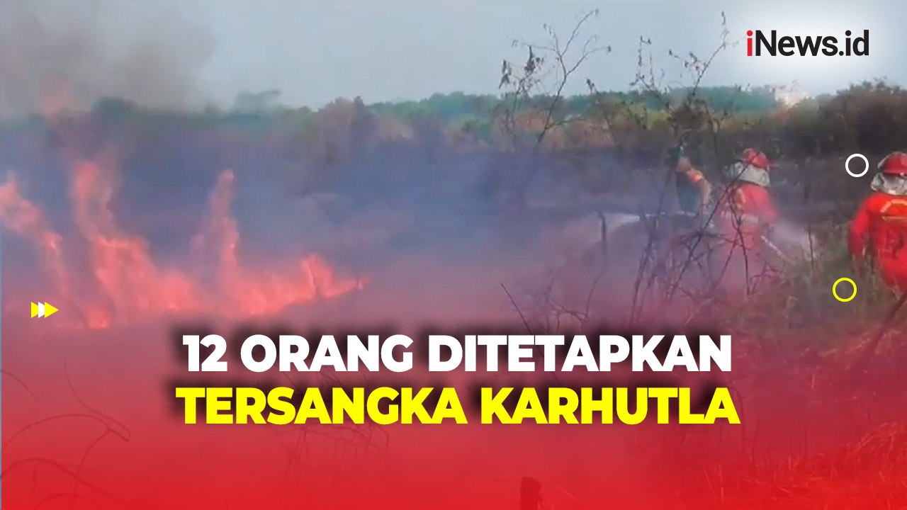 Polda Jambi Tetapkan 12 Orang Tersangka Karhutla