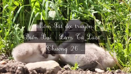 C25-C32 Biển Bạc - Lâm Tử Luật