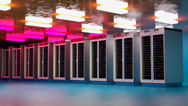 Does ViceTemple Provide DMCA Ignored Hosting?