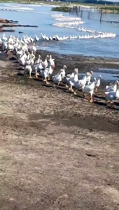 #nature