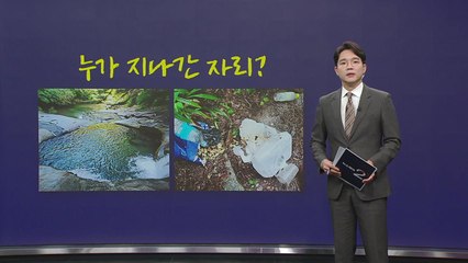 계곡 '문신 일행'의 꼴사나운 피서 [앵커리포트] / YTN