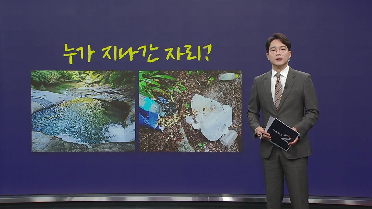 계곡 '문신 일행'의 꼴사나운 피서 [앵커리포트] / YTN