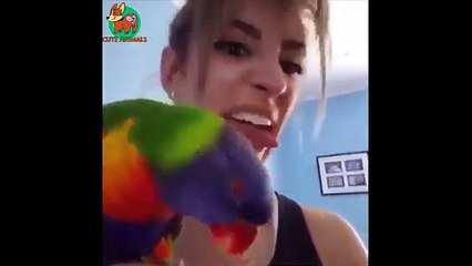 Awesome Funny Animals' Life Videos - Funniest Pets