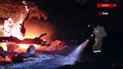 Mersin’deki orman yangını kontrol altına alındı