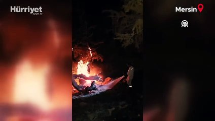 Mersin'deki orman yangını kontrol altına alındı