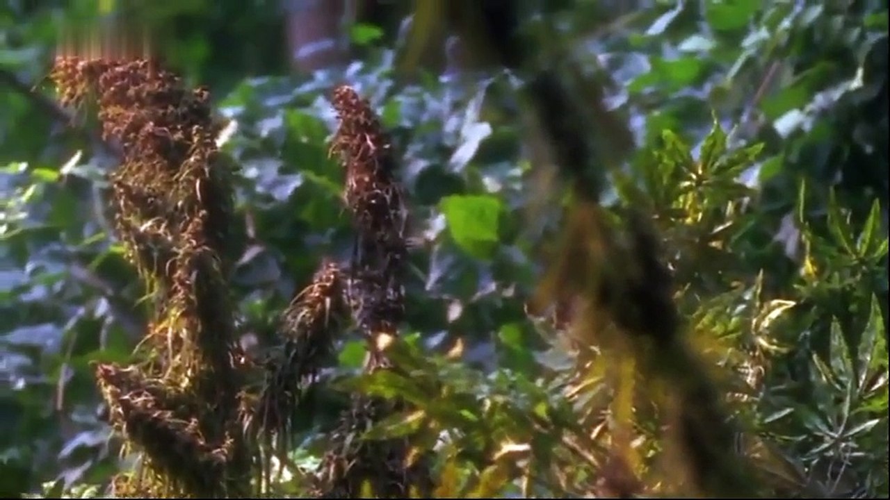 Um Himmels Willen S01E11-Verbotene Früchte