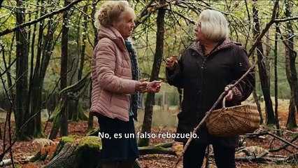 Cuando cae el otoño Tráiler VOSE