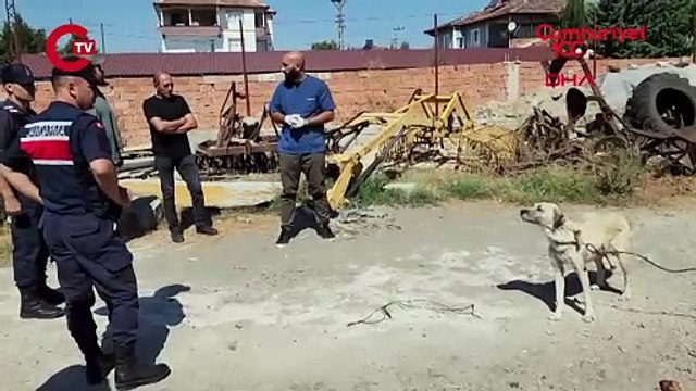 Amasya'da hayvana eziyete ödül gibi ceza! Köpeği kamyonetin arkasına bağlayıp sürüklemişti...