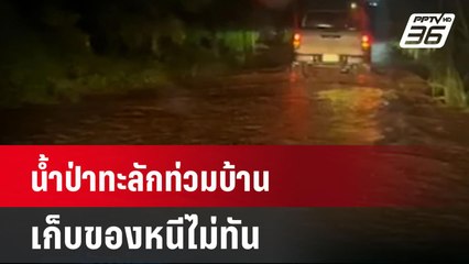น้ำป่าทะลักท่วมบ้าน เก็บของหนีไม่ทัน | เที่ยงทันข่าว | 21 ส.ค. 67