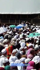 Die faszinierende Geschichte von Surah Ash-Shu'ara 🕌