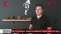 Uzmanı anlattı_ Orman yangını nasıl çıkar, nasıl söndürülür_