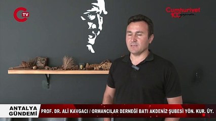 Uzmanı anlattı_ Orman yangını nasıl çıkar, nasıl söndürülür_