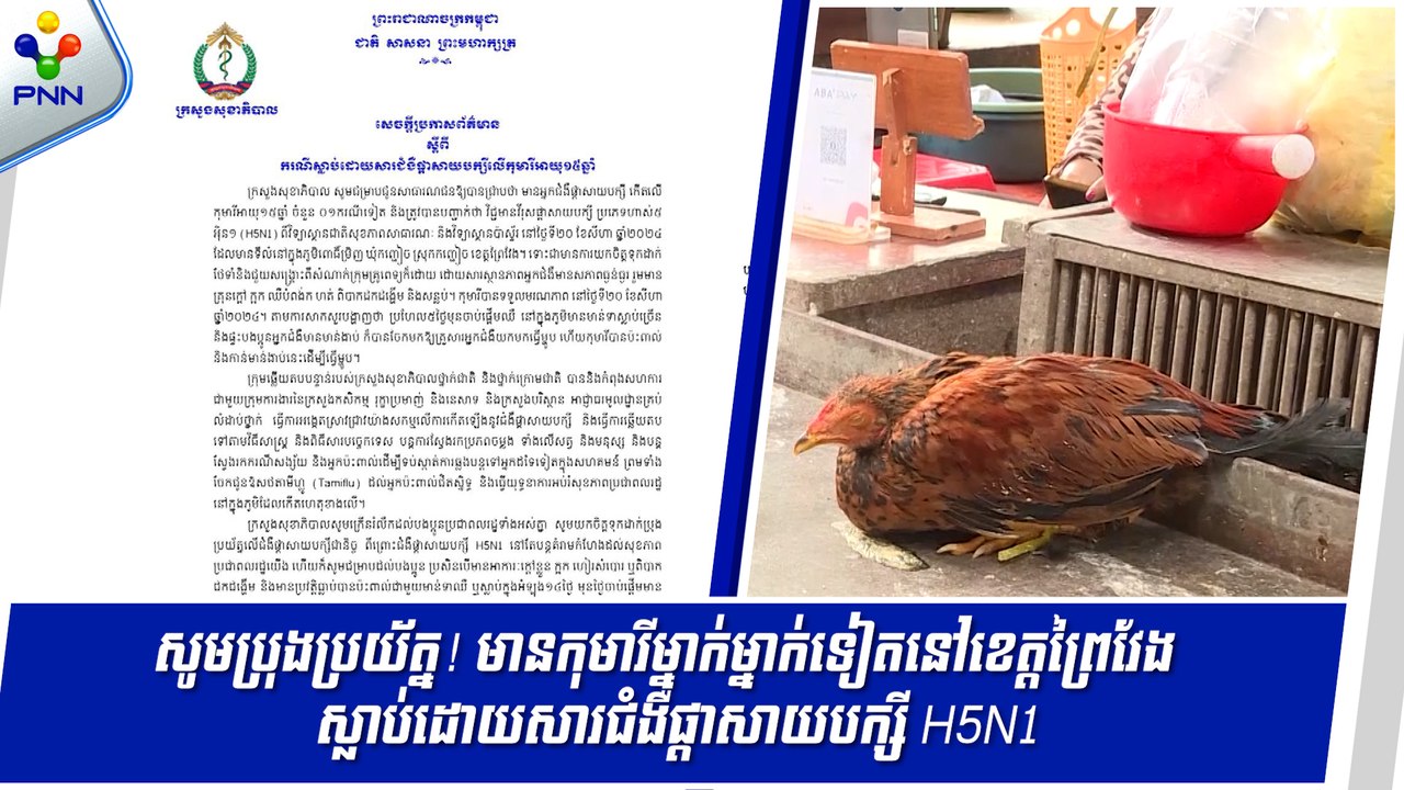 [21-08-24] ក្រសួងសុខាភិបាលប្រកាសពីករណីកុមារីម្នាក់អាយុ១៥ឆ្នាំ នៅស្រុកកញ្ជៀច ខេត្តព្រៃវែង ស្លាប់ដោយសារជំងឺផ្តាសាយបក្សីប្រភេទ H5N1