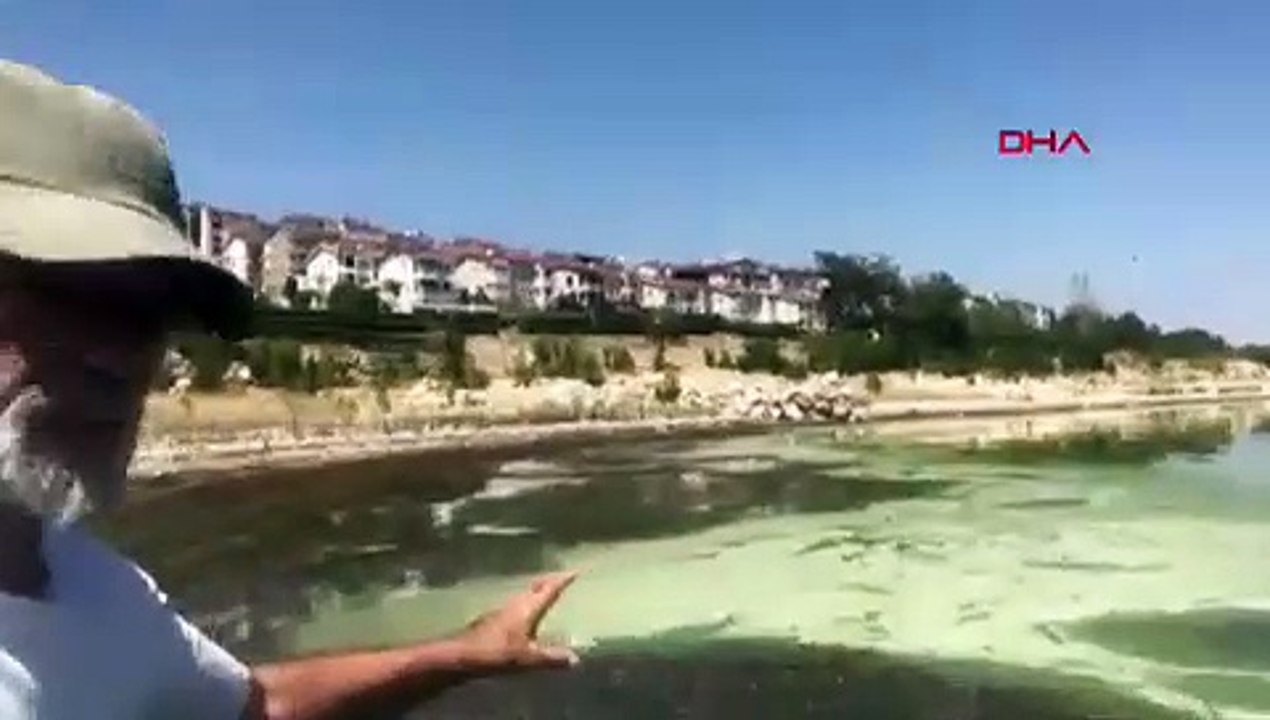 Eğirdir Gölü'nde müsilaj kabusu