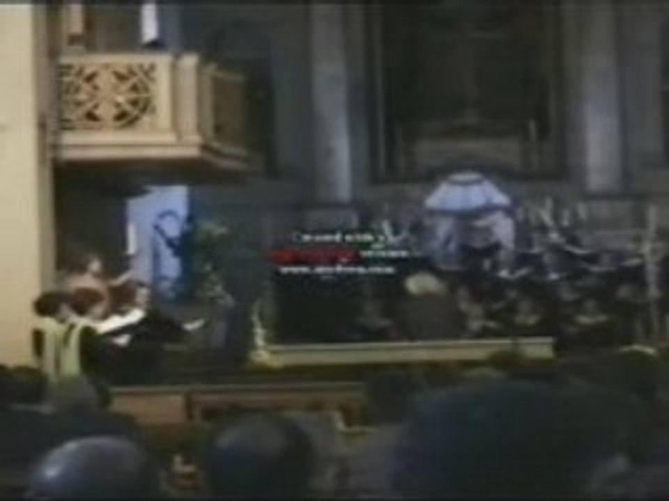 C.PHYDELLIUS - CLIP 06