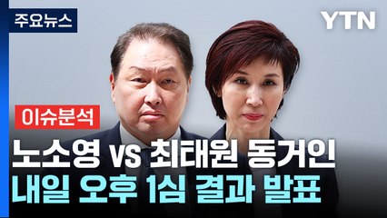 [이슈ON] 노소영-최태원 동거인 '30억 위자료' 소송 내일 1심 / YTN