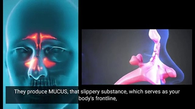 What is sinusitis? Get rapid relief from a sinus infection - Dr Sharad ENT