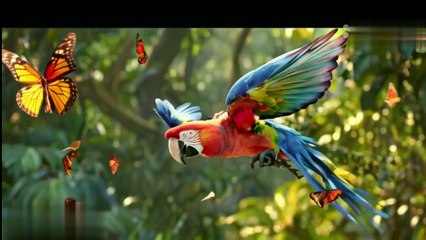 A Beautiful And A Parrot Story in a Jungle for Kids
