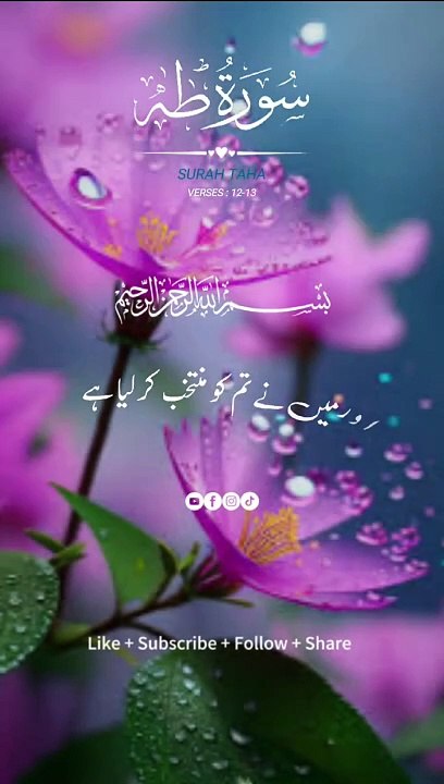 surah taha ayat 12 ،13 urdu translation #alquran#islamic video#islam