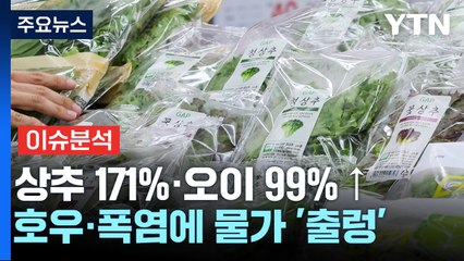[경제PICK] 상추 171%·오이 99%↑...호우·폭염에 물가 '출렁' / YTN