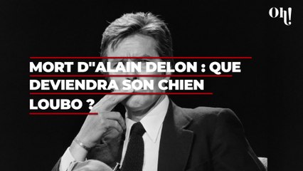Alain Delon : que deviendra son chien Loubo que l’acteur voulait euthanasier à sa mort ?