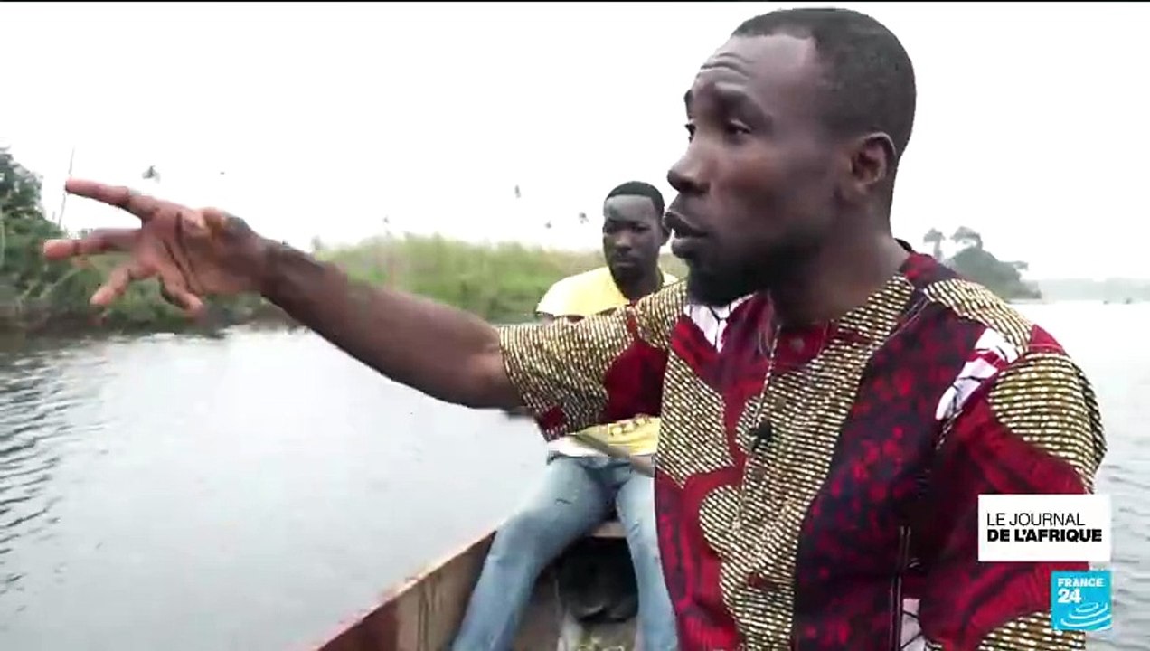 Côte d'Ivoire : les mangroves menacées par les constructions anarchiques