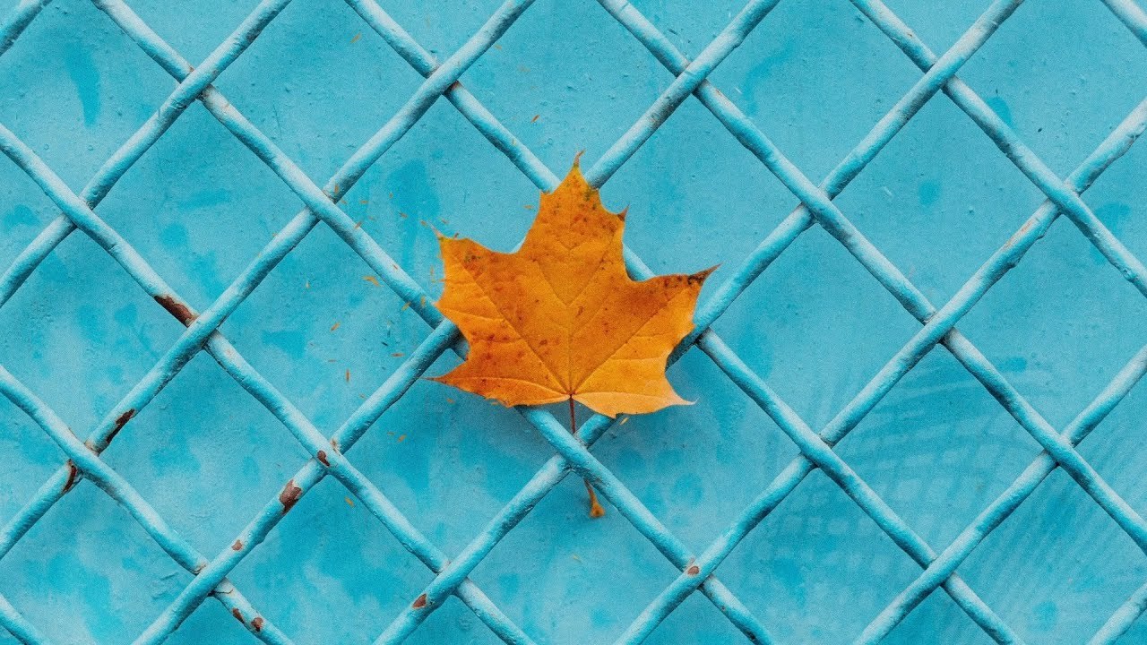 Sükût-ı Hayal | Enstrümantal Duygusal Fon Müziği ♫